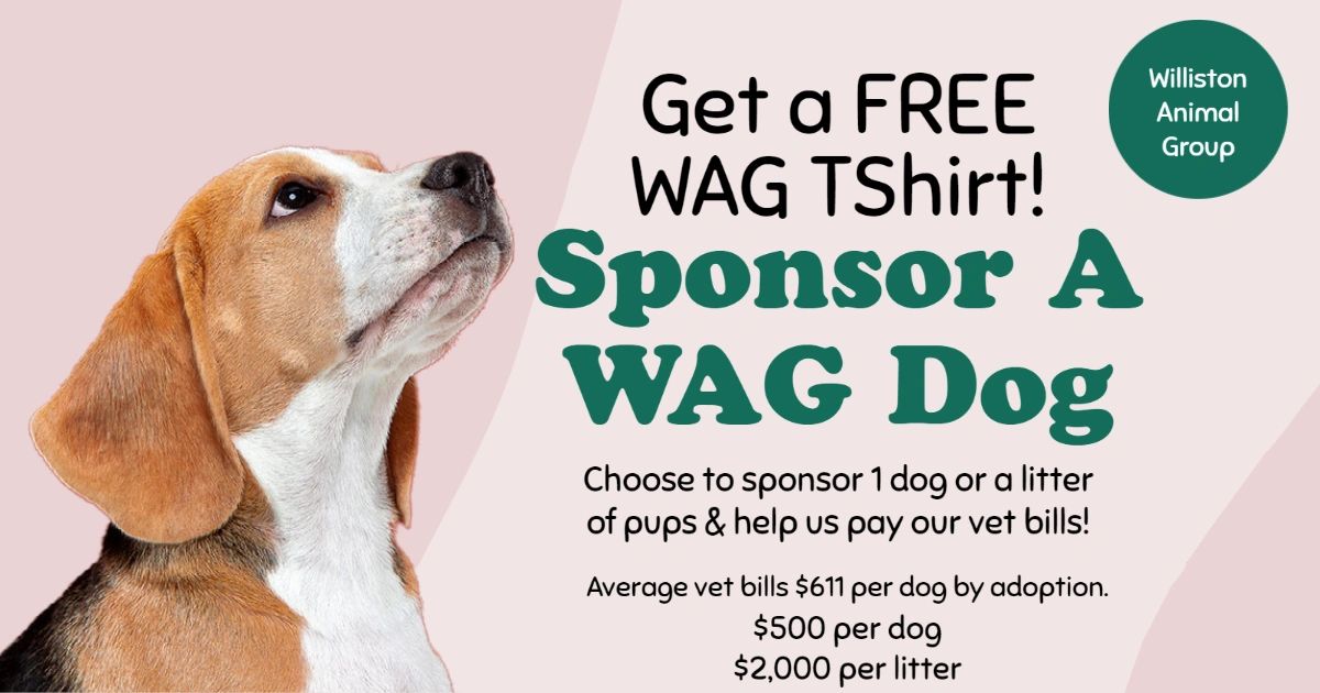Sponsor 1 dog or 1 Litter for WAG! Help pay Their Vet Bills!